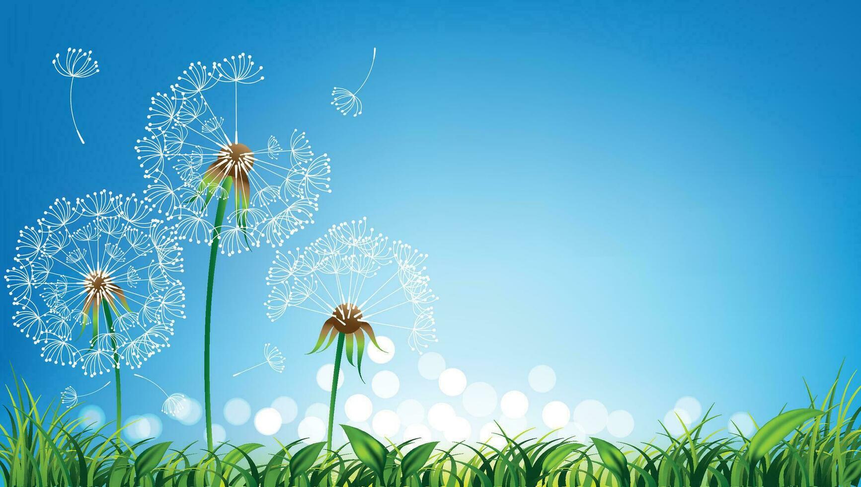 Dandelions with fresh green grass and light bokeh for Spring or summer background vector