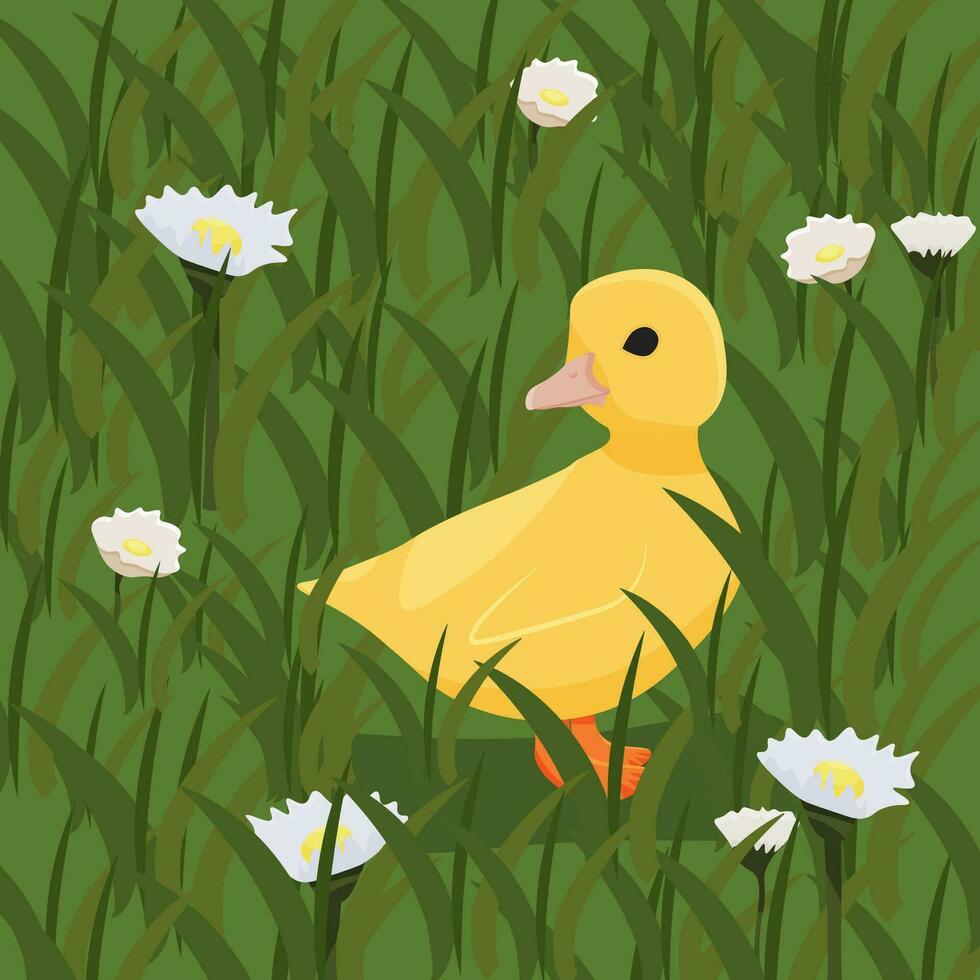 A cute duck stands in a green field, daisies, grass. cartoon style. Vector illustration. Nature summer