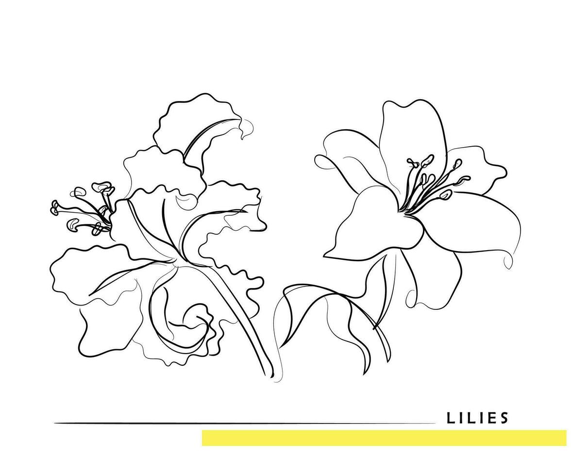 Abstract sketch of lilies. vector