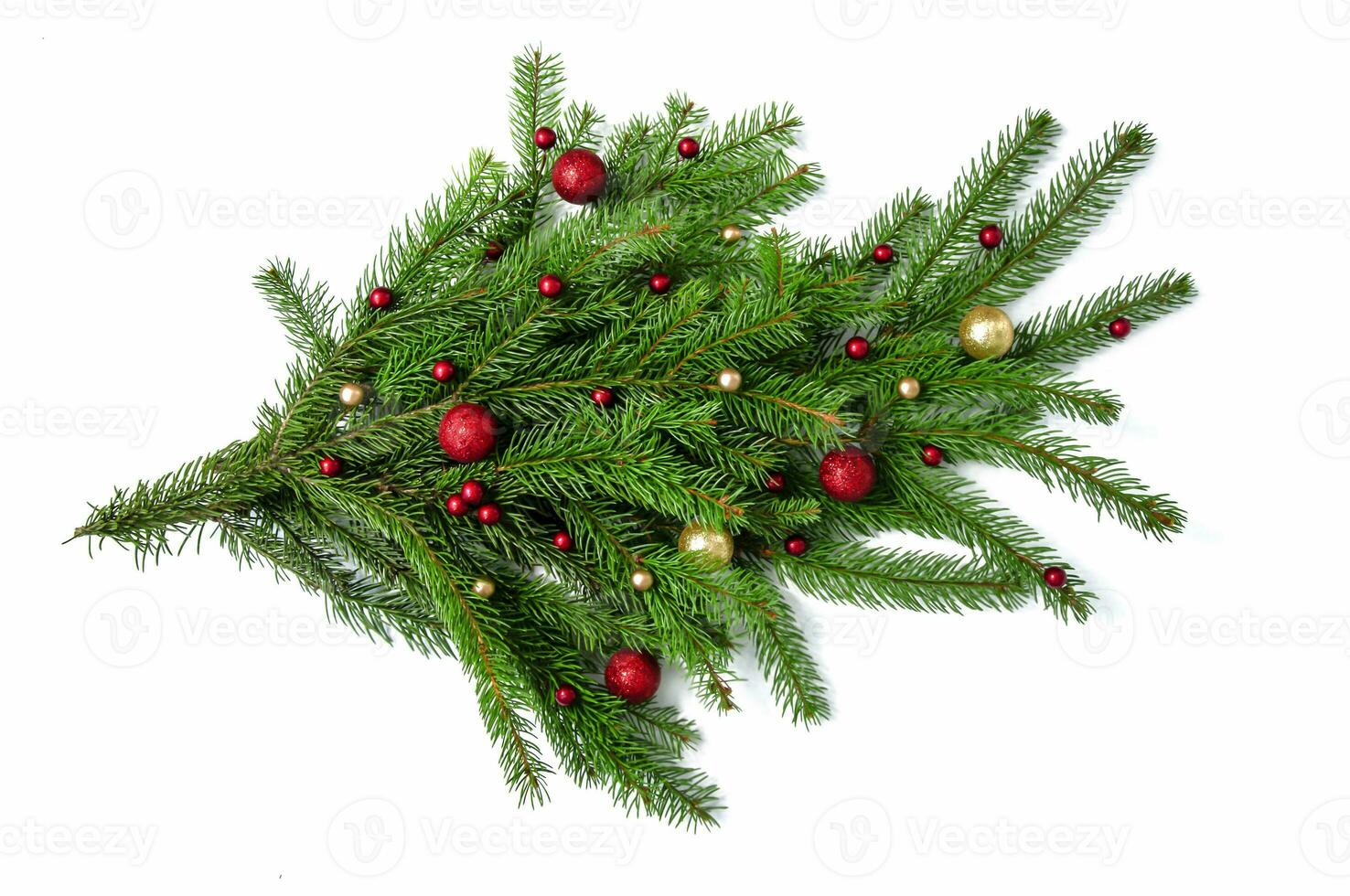 Christmas branch of a natural tree with red and gold balls on a white background close-up. Isolate photo