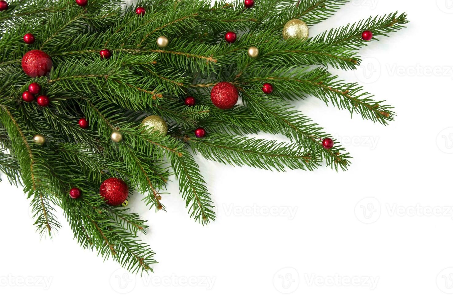 Christmas branch of a natural tree with red and gold balls on a white background close-up. Isolate photo