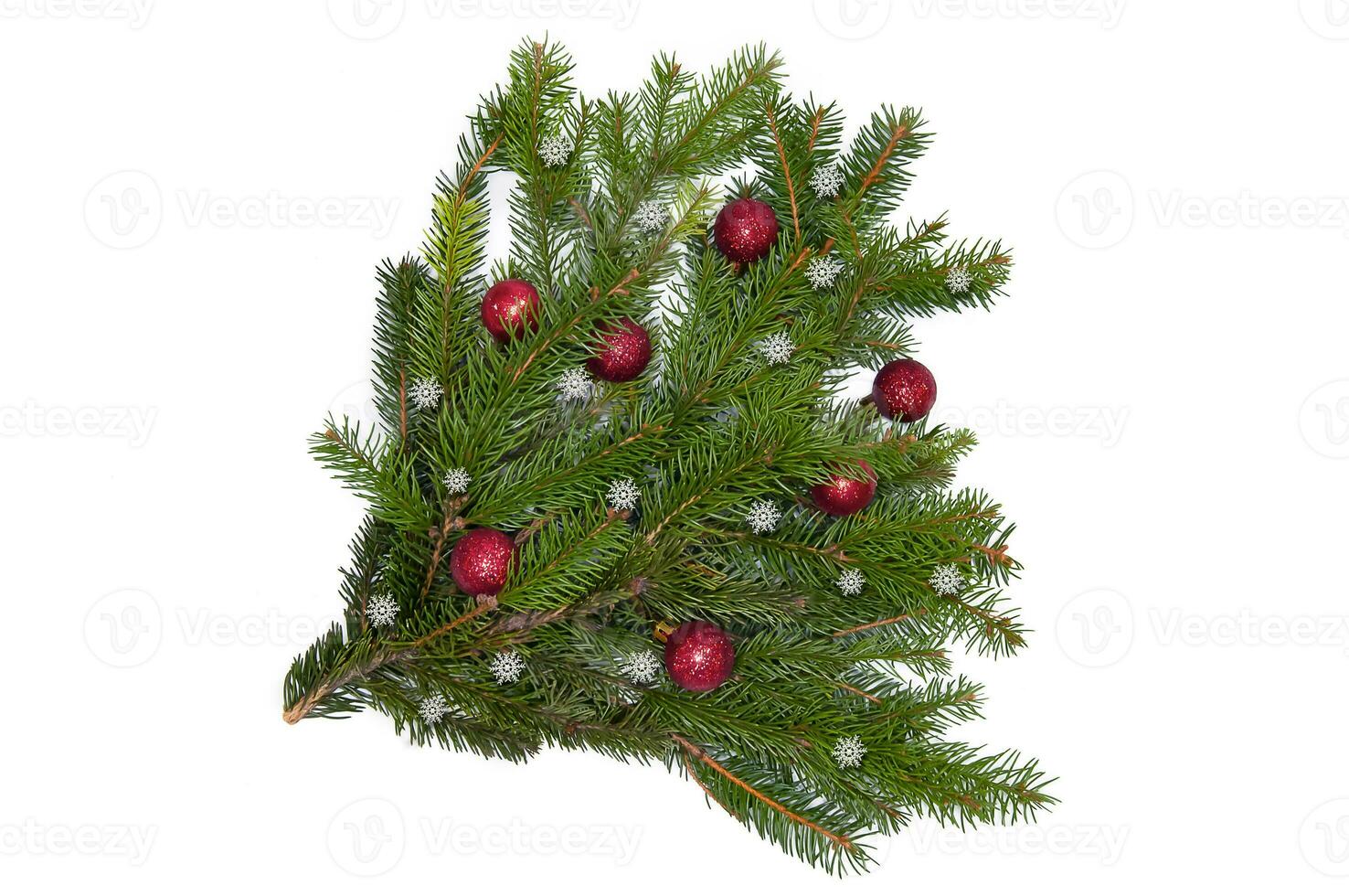 Christmas branch of a natural tree with red balls on a white background close-up. Isolate photo