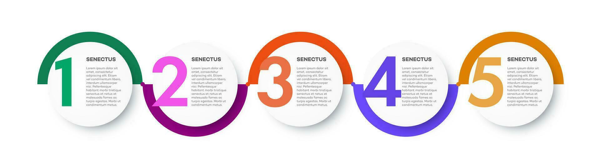 infografía modelo vector cronograma proceso 5 5 opción