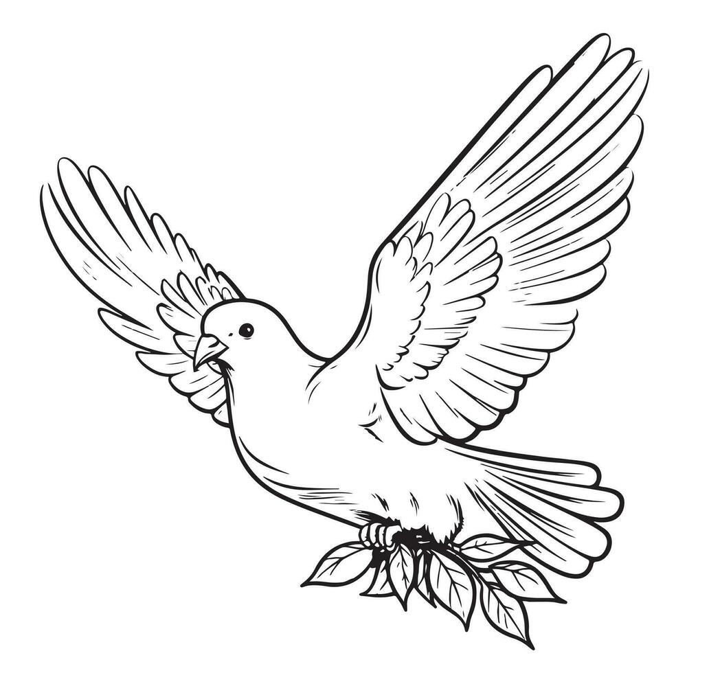 Flying dove, pigeon. Realistic ink sketch of wild bird. vector