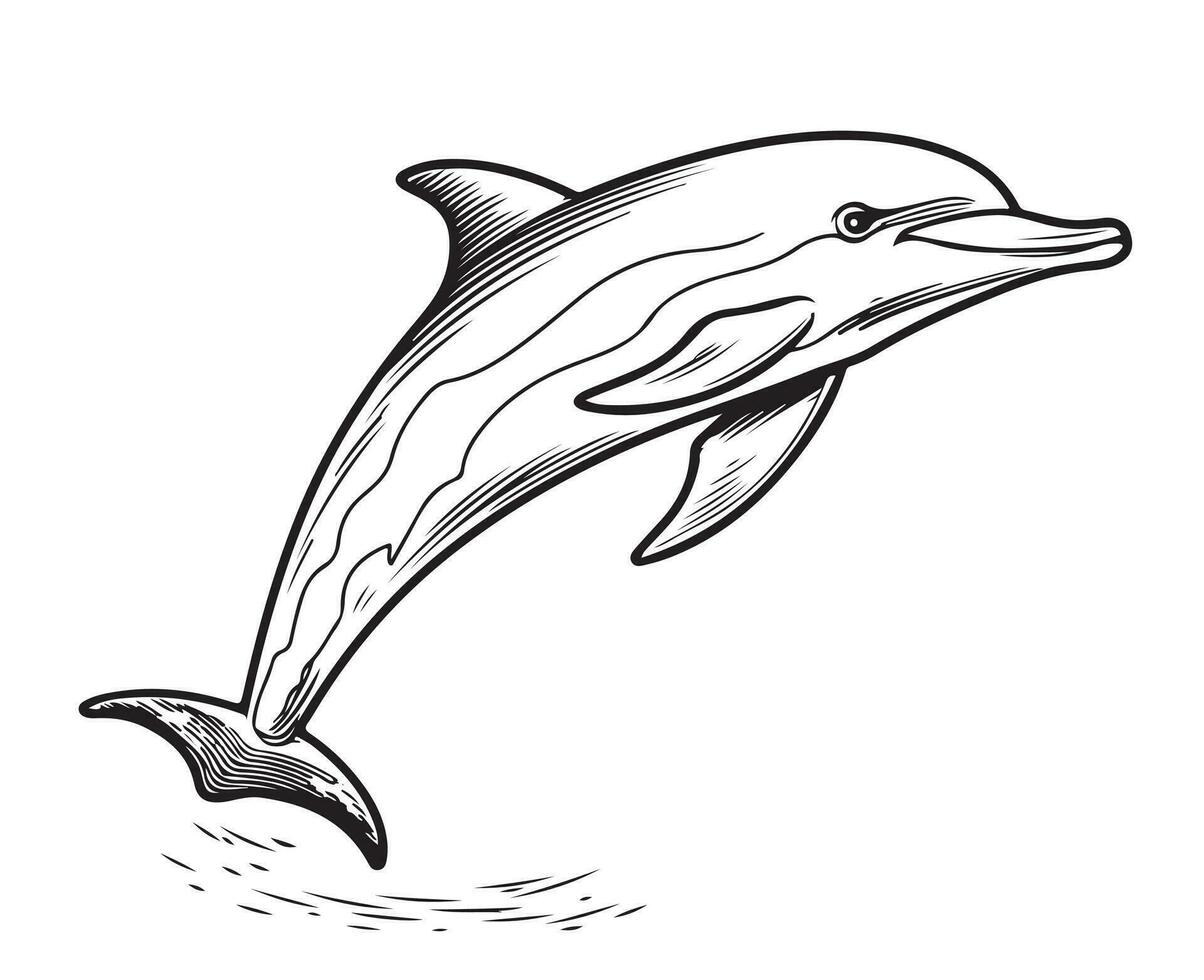 Dolphin jumping hand drawn sketch Vector illustration Sea animals