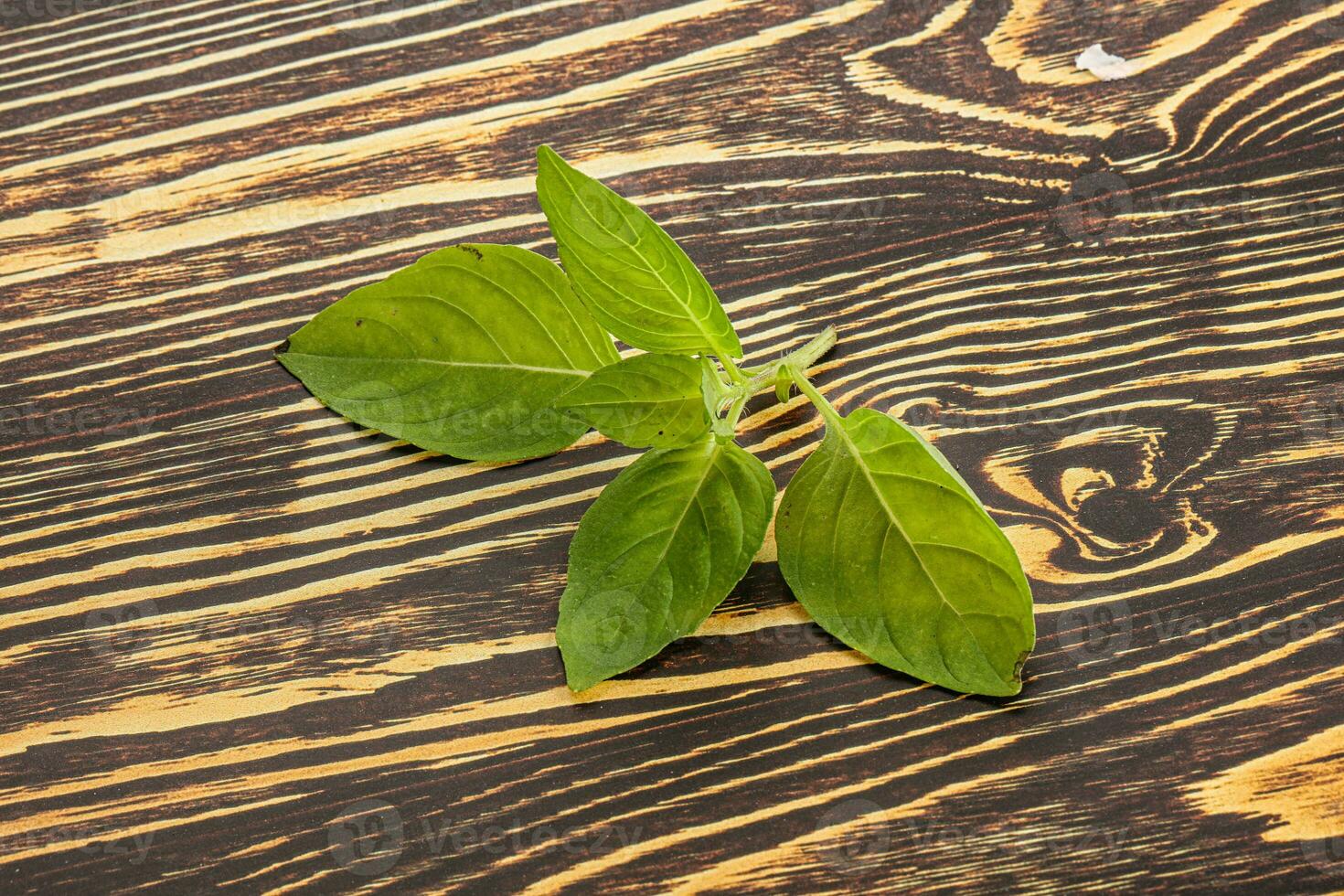 crudo verde albahaca hojas Condimento foto