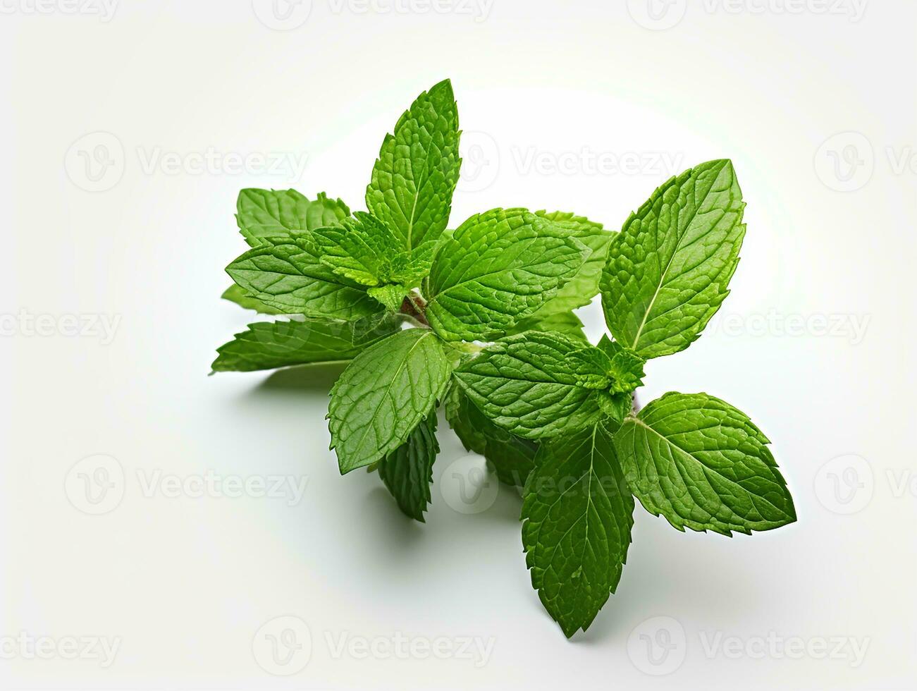 AI generated Mint leaf. Fresh mint on white background. Mint leaves isolated. Full depth of field. photo