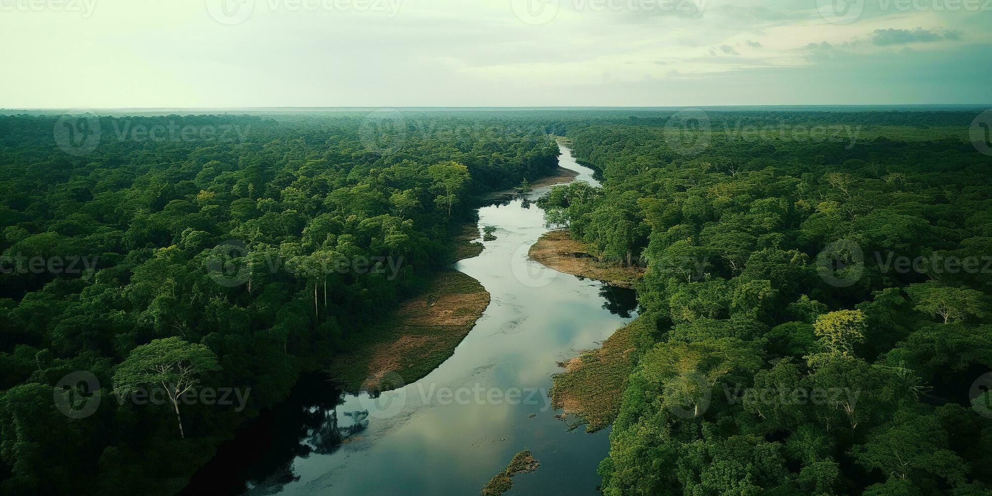 AI generated Generative AI, Amazonian jungle foggy landscape, tropical rainforest with palm trees photo