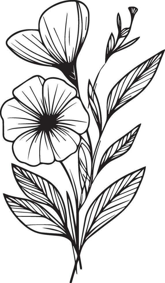 Small periwinkle flower tattoo for kids, hand-drawn periwinkle flower, periwinkle line art, vinca flower home wall decor art poster printing, sadabahar tattoo black and white vector