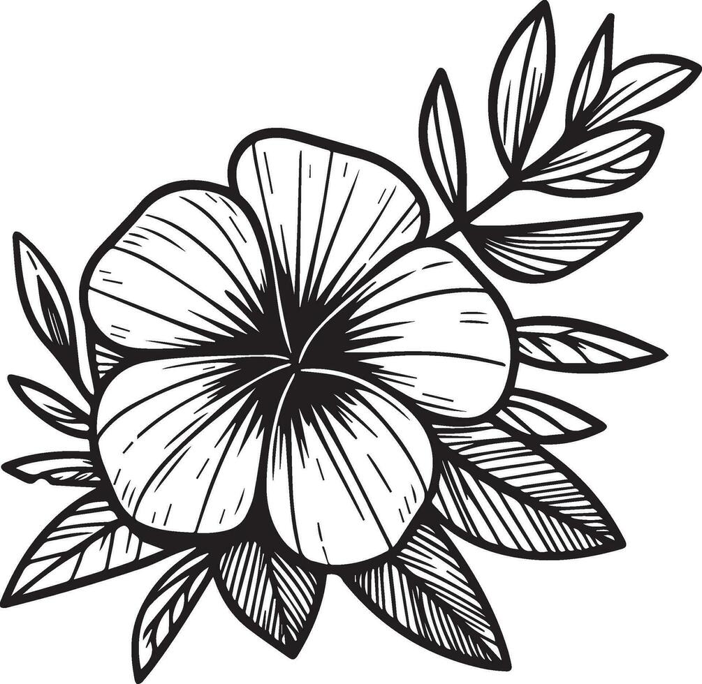 Vector sketch of flowers. periwinkle line drawings, hand-painted madagascar periwinkle wall art, botanical vinca wall art, simple periwinkle drawing, noyontara stock outline drawing, periwinkle flower