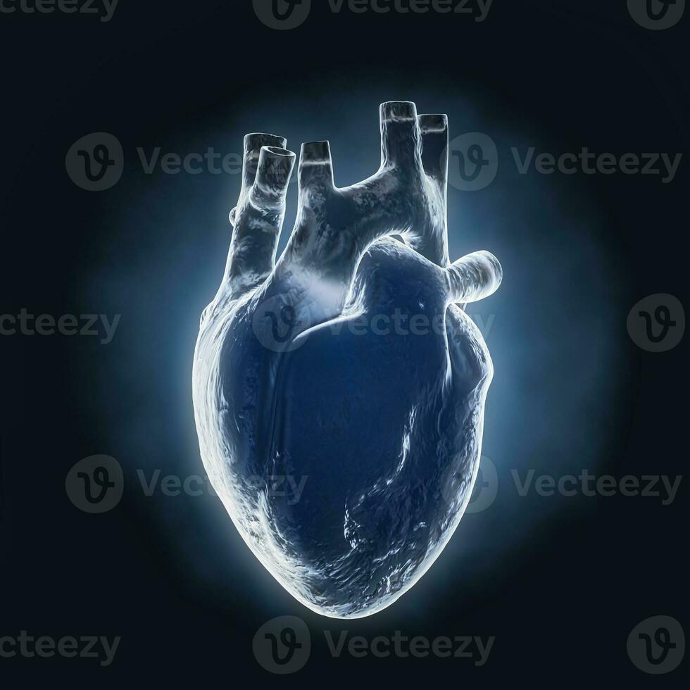 Human Heart Anatomy Internal Organ X-Ray Hologram View. 3d Rendering photo