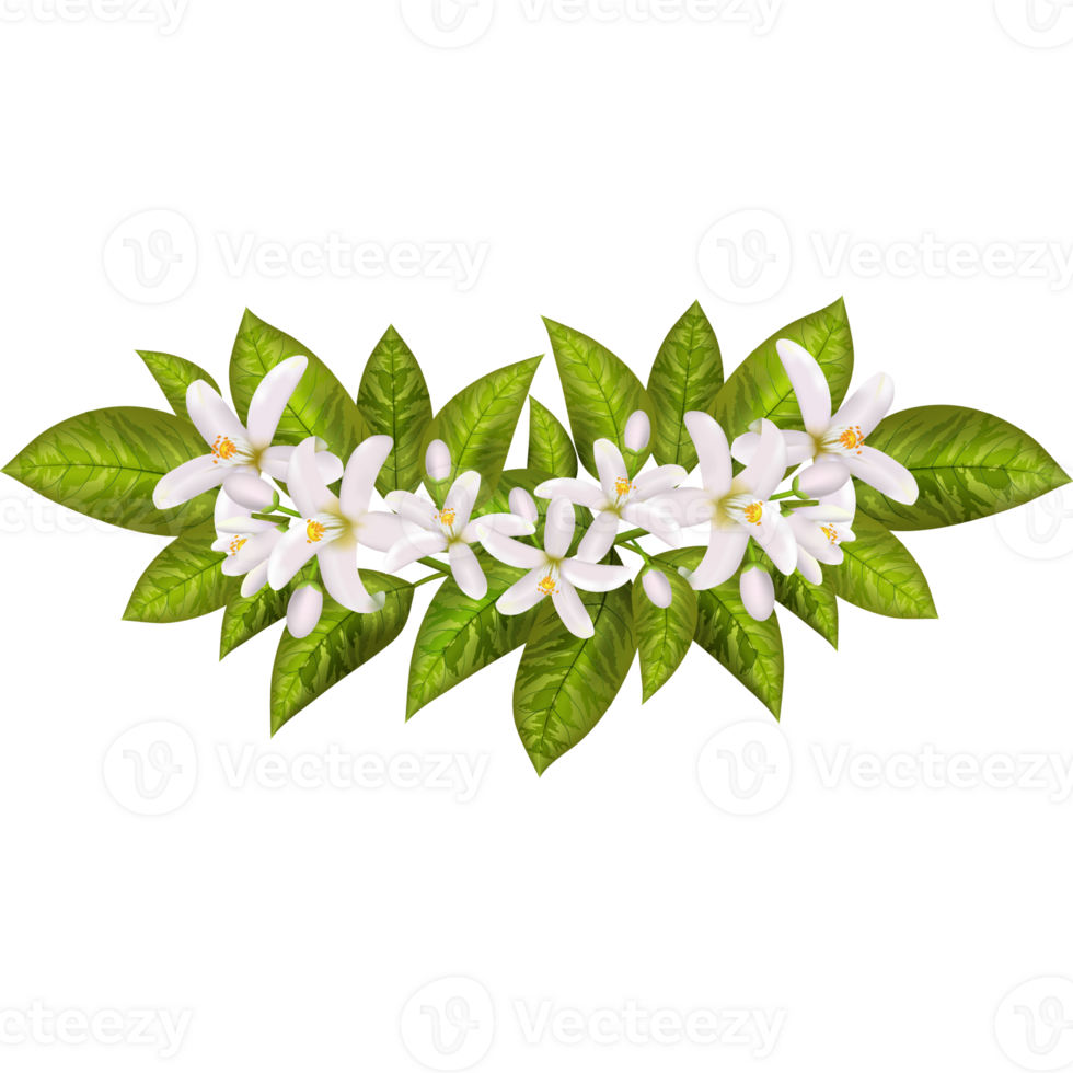 Orange spring flowers. png