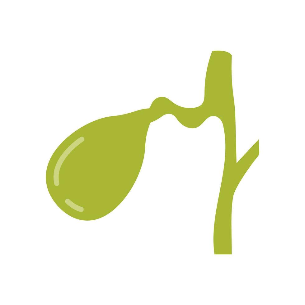 Gallbladder icon in vector. Logotype vector