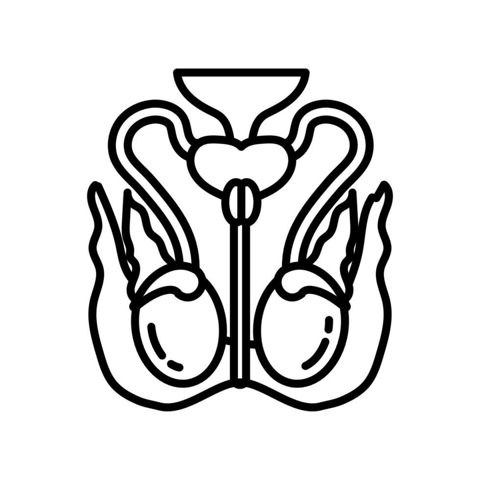 Cranial Dura icon in vector. Logotype vector