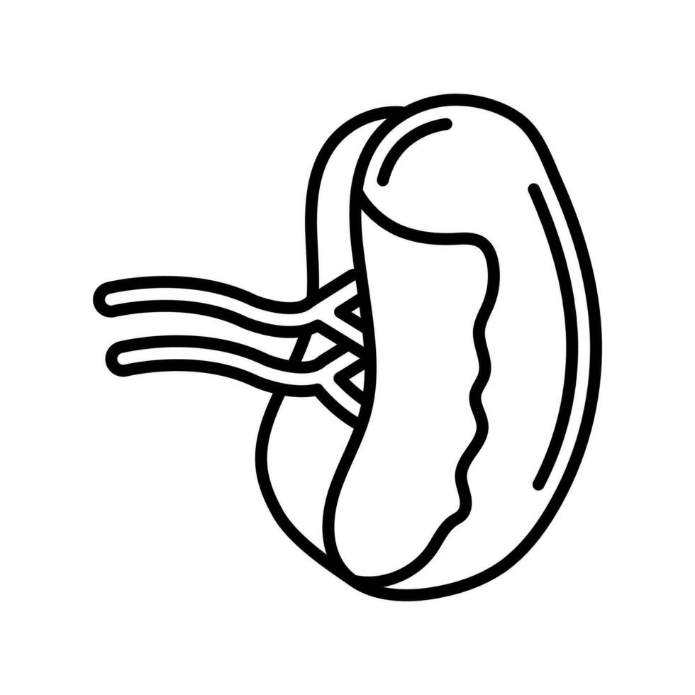 Spleen icon in vector. Logotype vector