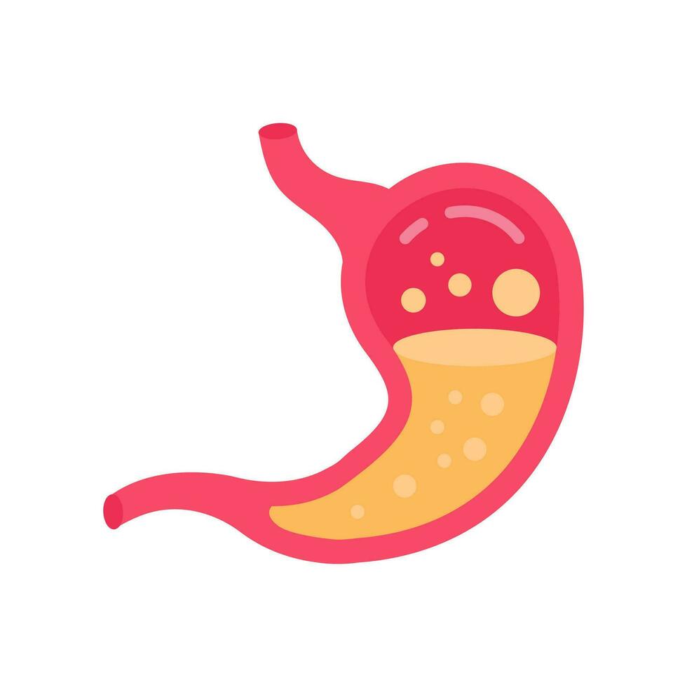 Stomach icon in vector. Logotype vector