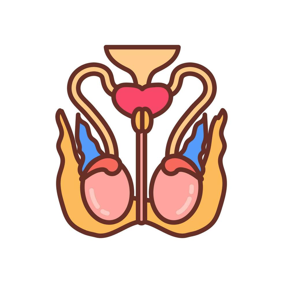 Testicle Nerve icon in vector. Logotype vector