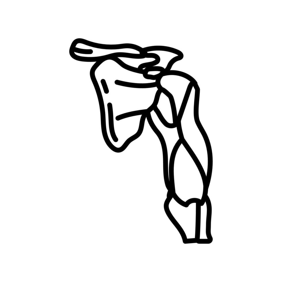 Triceps Muscles icon in vector. Logotype vector