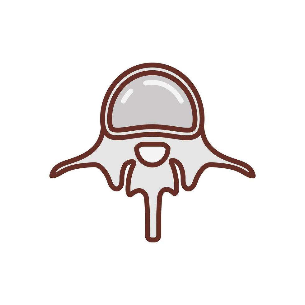 Lumbar Vertebra icon in vector. Logotype vector