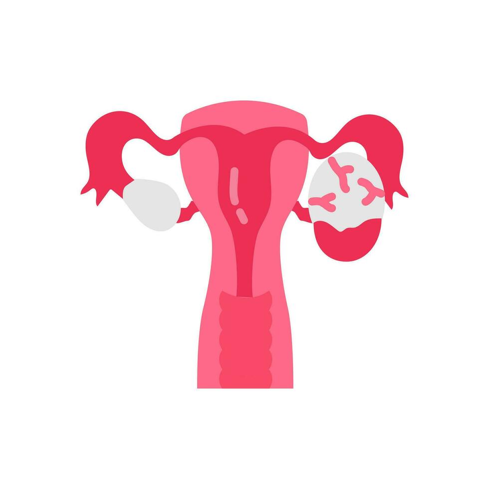 Corpus Luteum icon in vector. Logotype vector