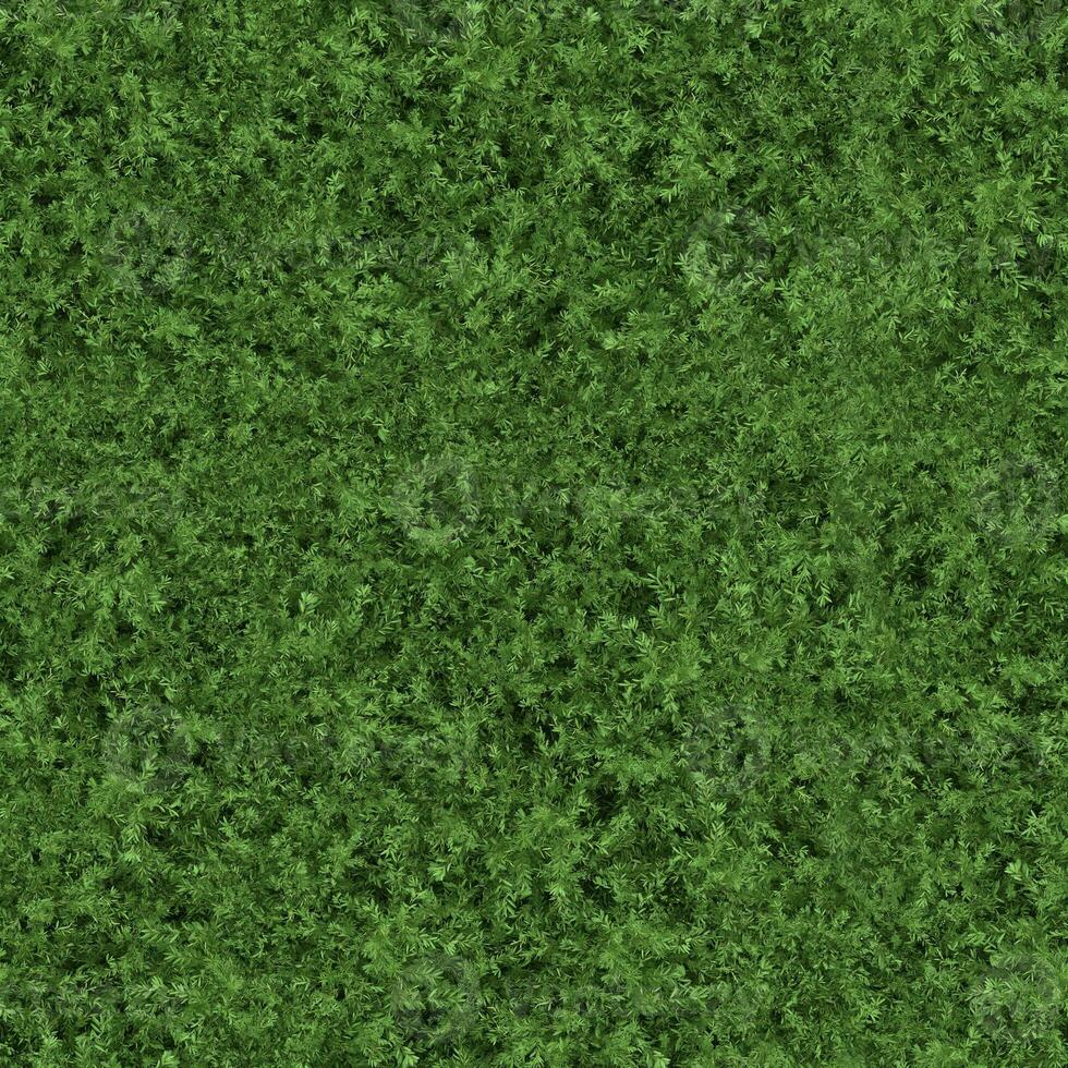 A realistic 3D rendering of the green plant that covered the floor. A tiny plant like a grass, Seamless photo
