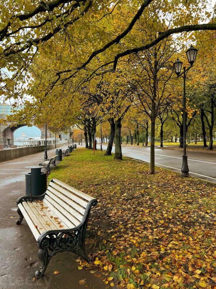 Picturesque embankment with benches and lanterns in autumn photo
