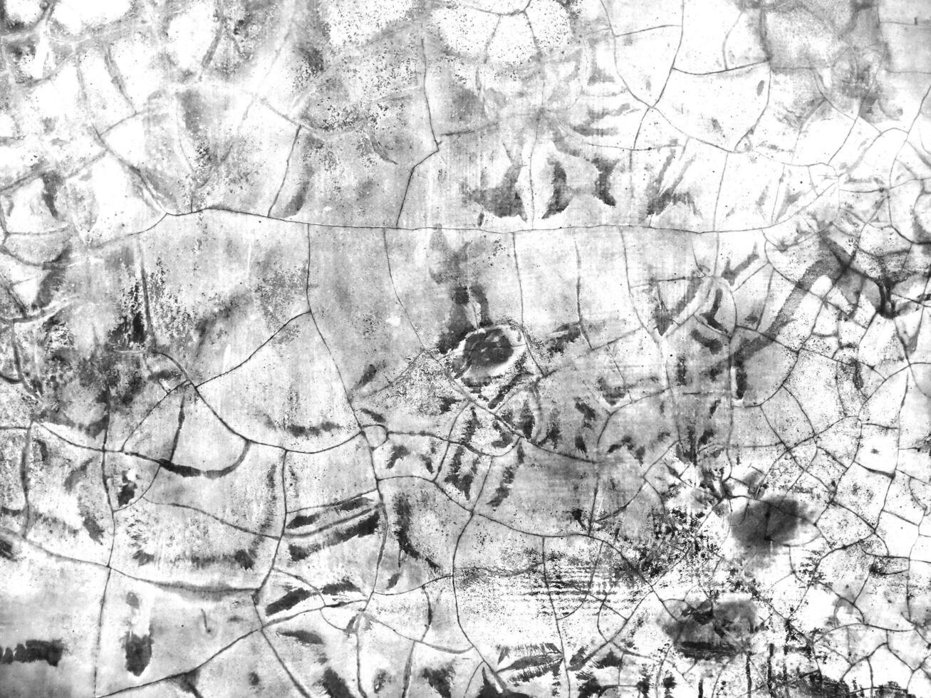 Abstract grunge background texture of cracked concrete wall photo