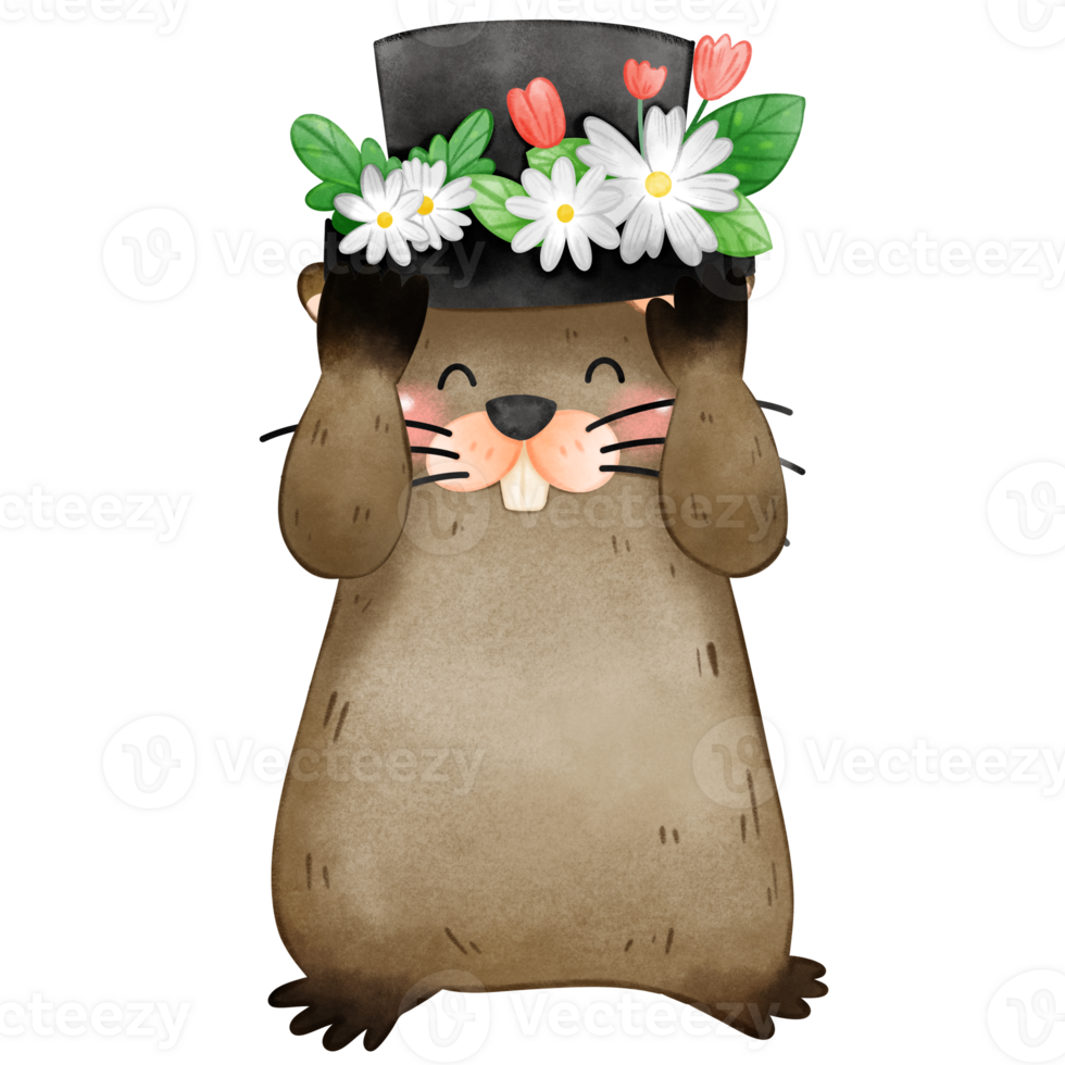 Groundhog wearing top hat decorated with white flowers isolated png