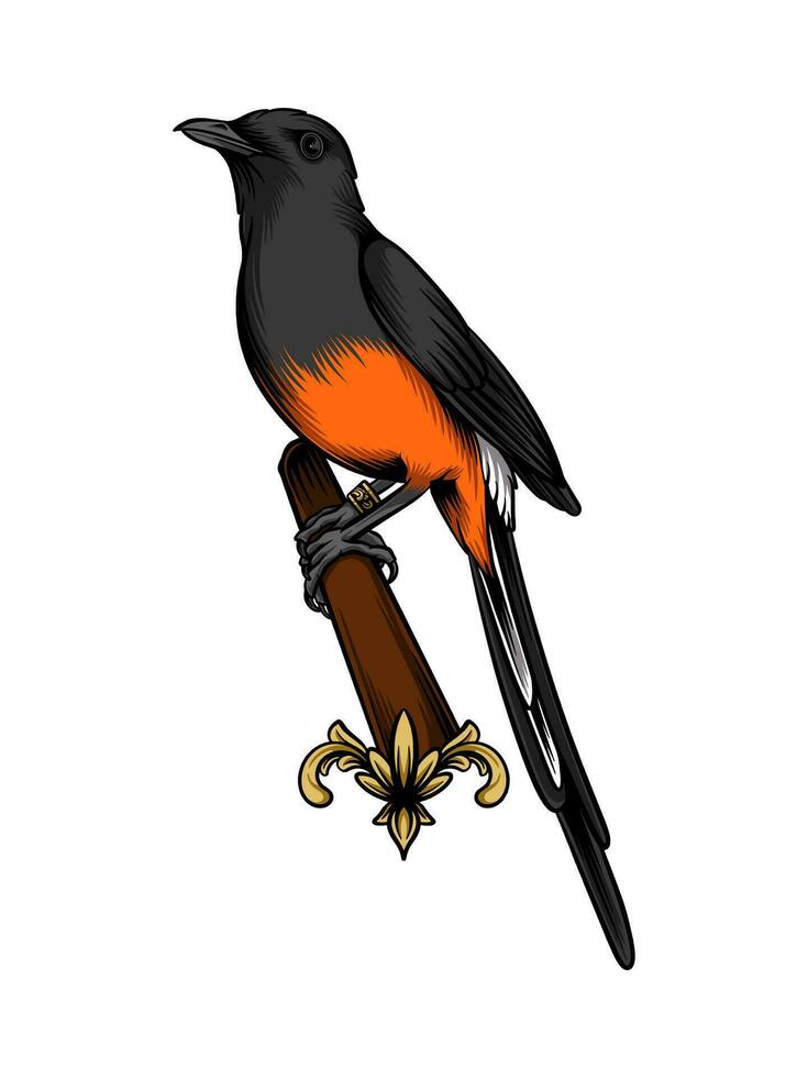 Rock Thrush bird logo hanging on the Branch vector