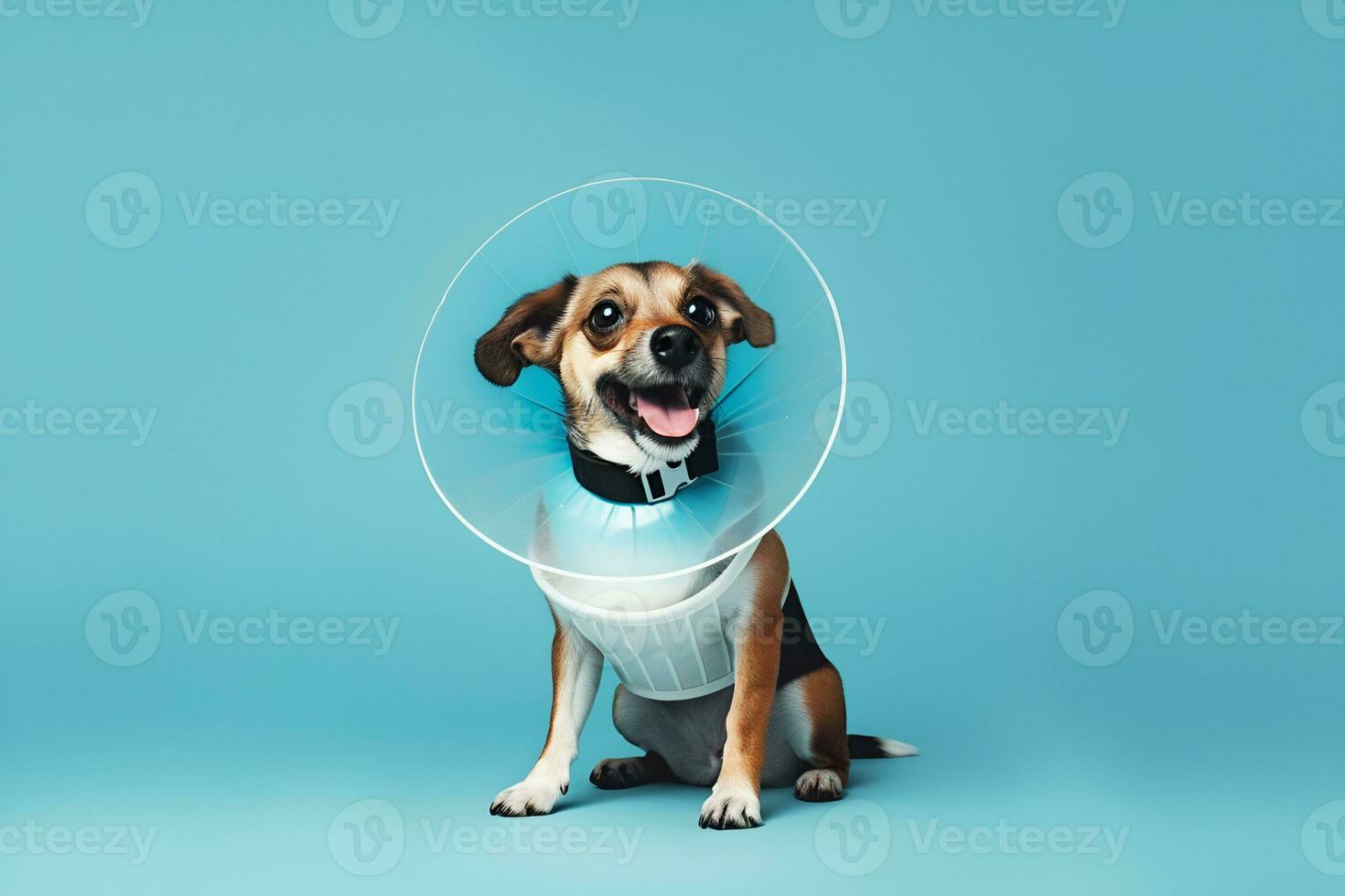 AI generated cute little red mixed breed dog in protective veterinary collar on an blue background treatment and care for pets after surgery copy space photo