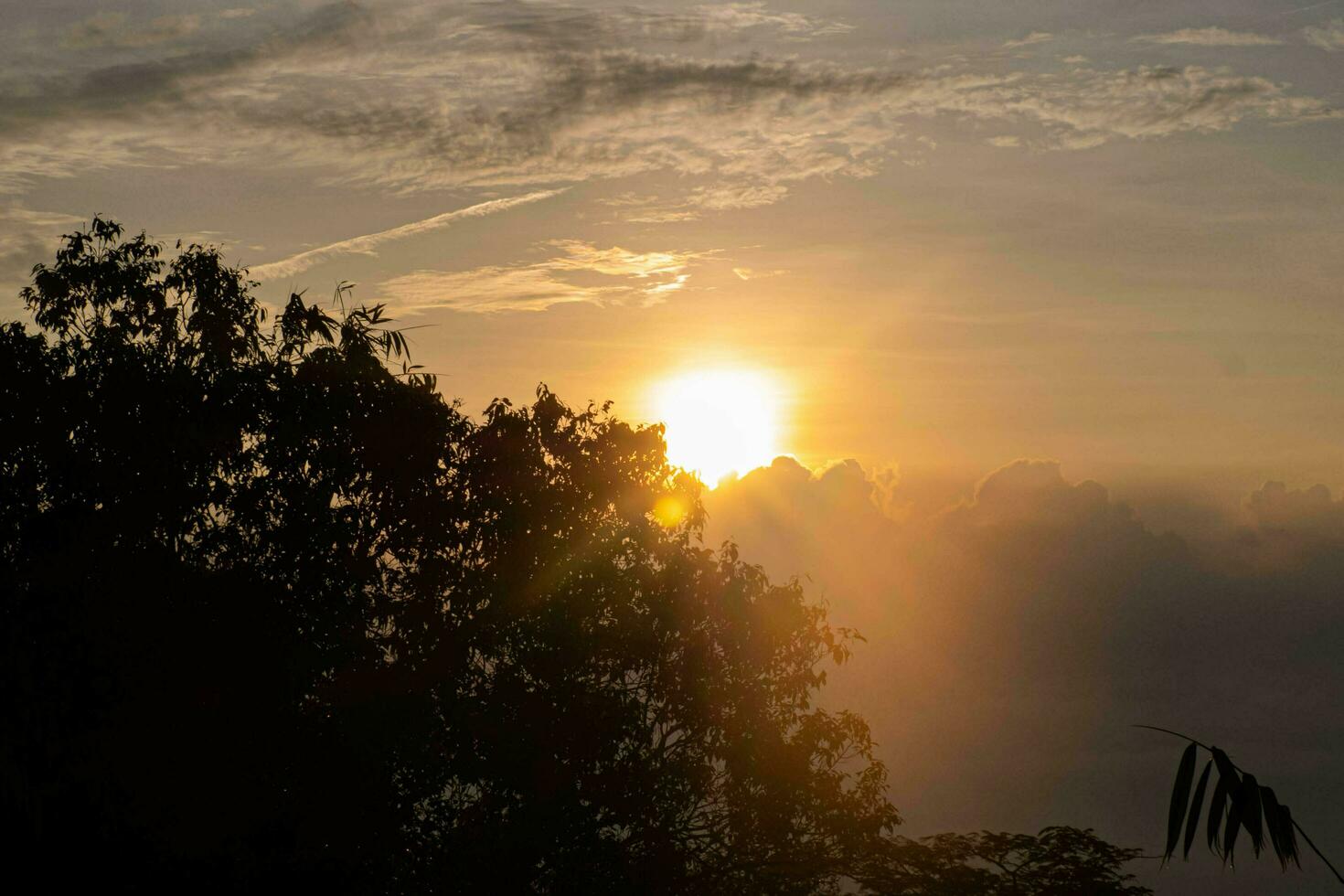 As the sunrise, silhouettes of people appear with a gold background. photo