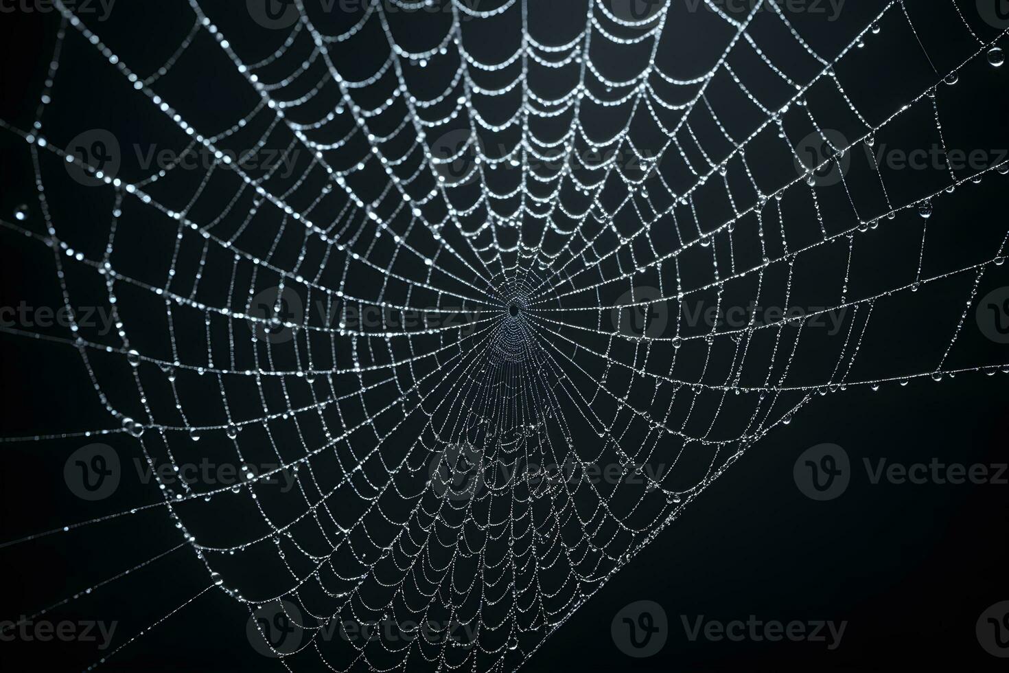 AI generated Spider Web Isolated in Black Background Ai Generative photo