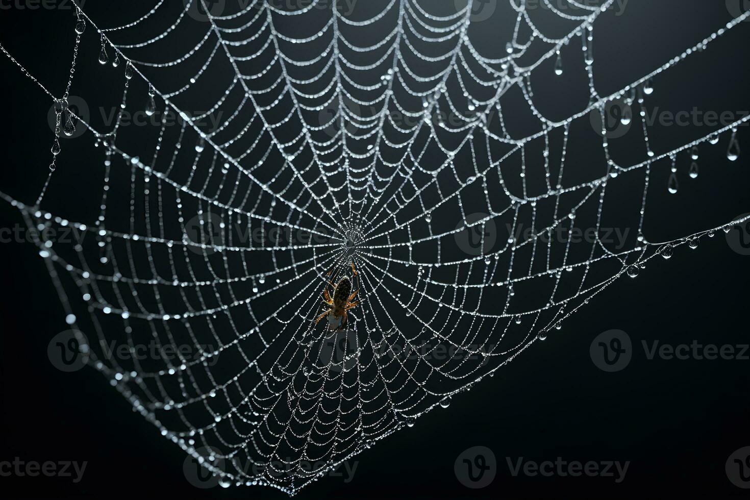 AI generated Spider Web Isolated in Black Background Ai Generative photo