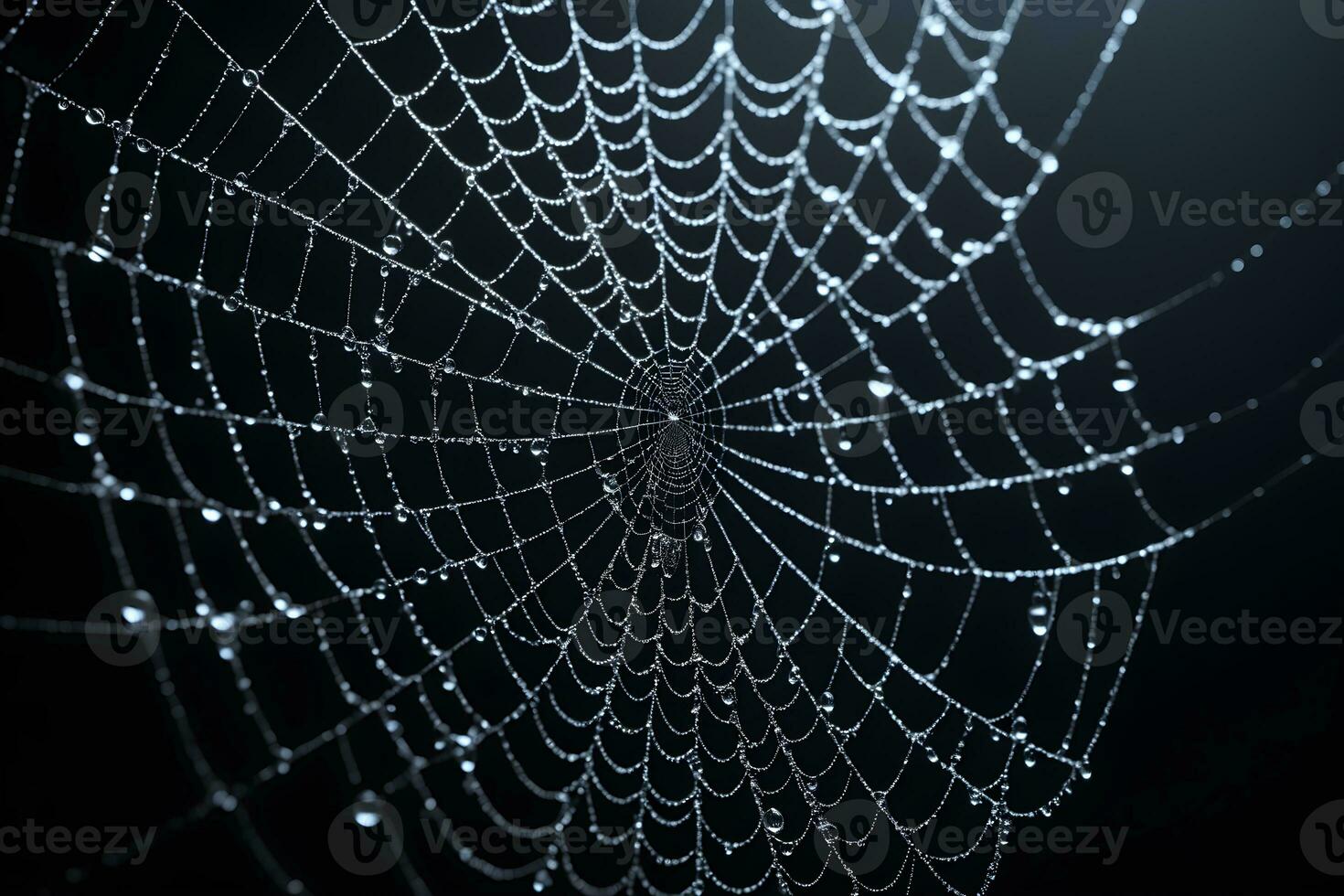 AI generated Spider Web Isolated in Black Background Ai Generative photo