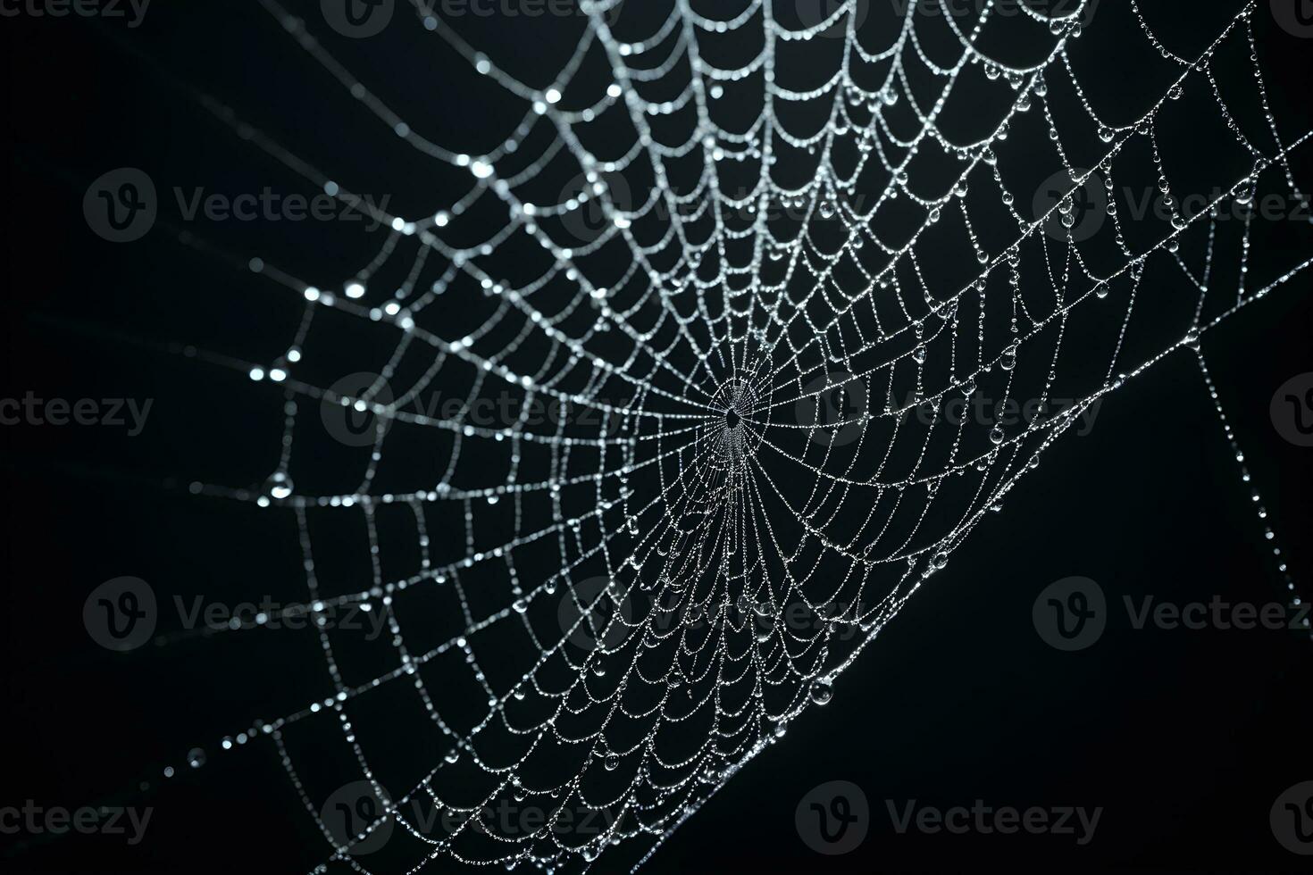 AI generated Spider Web Isolated in Black Background Ai Generative photo