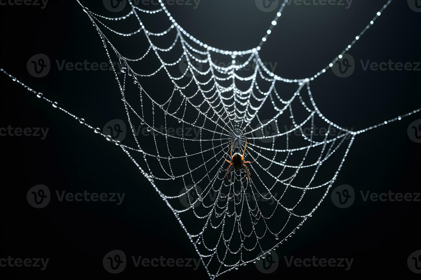 AI generated Spider Web Isolated in Black Background Ai Generative photo