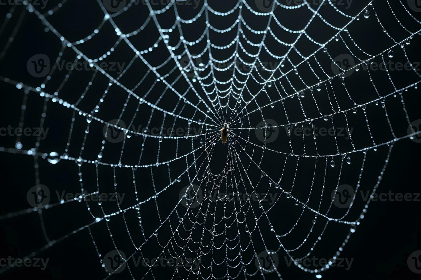 AI generated Spider Web Isolated in Black Background Ai Generative photo