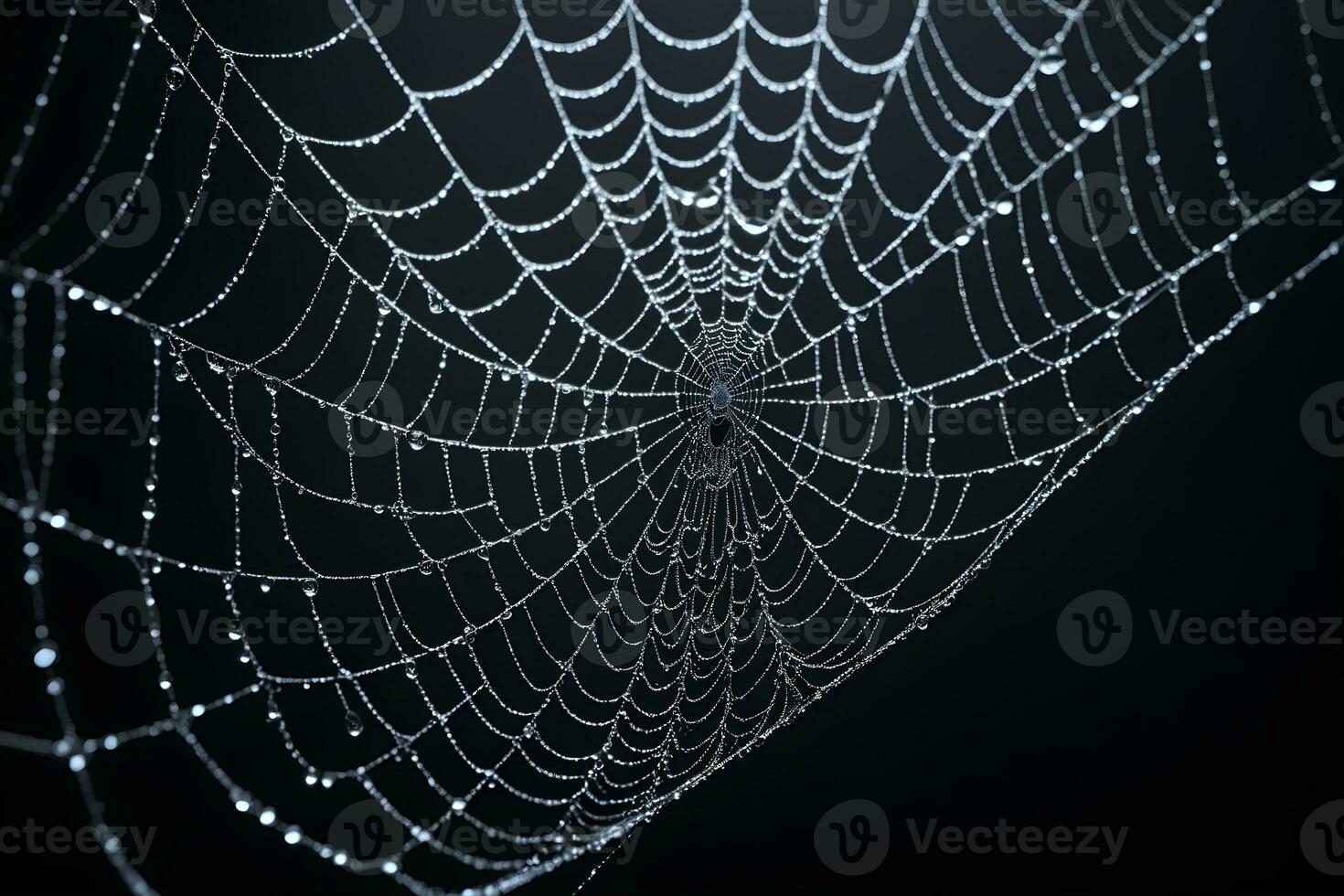AI generated Spider Web Isolated in Black Background Ai Generative photo