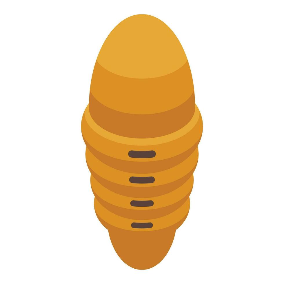 Ovum insect cocoon icon isometric vector. Evolution stage vector