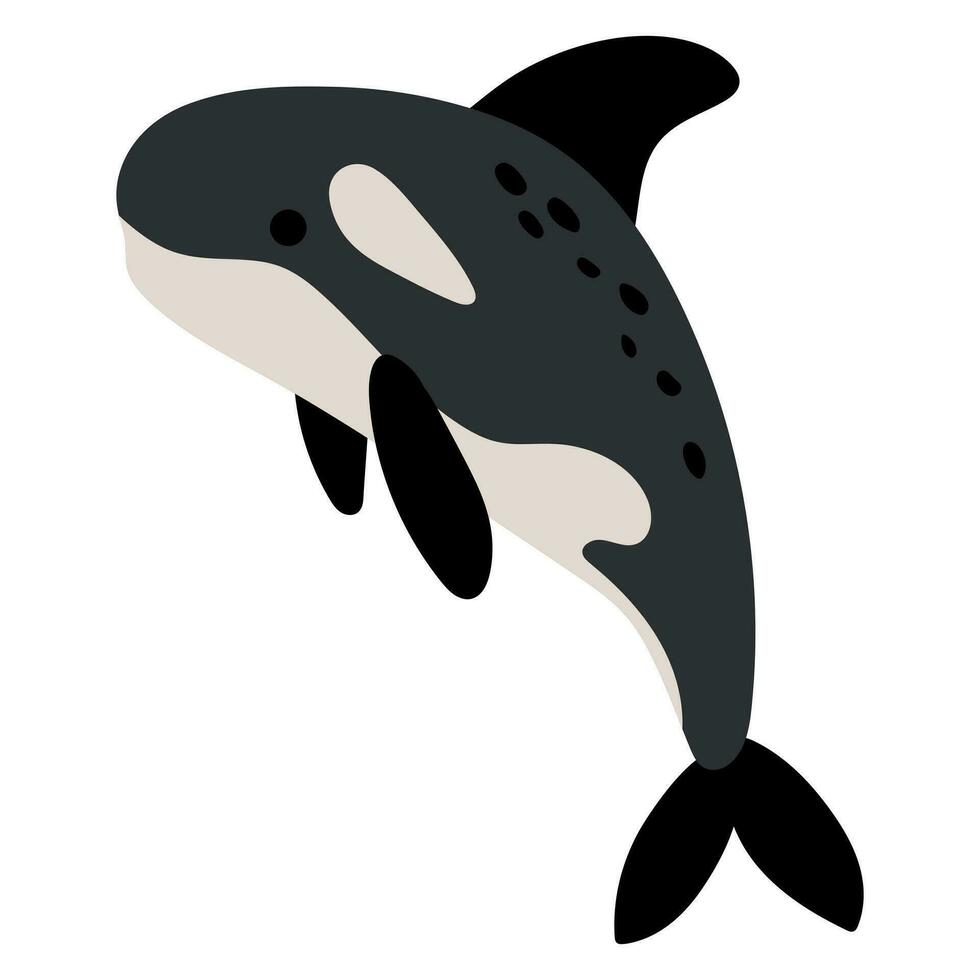 Cute hand drawn killer whale. vector