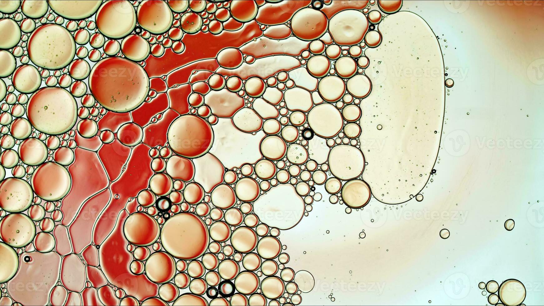 Abstract Colorful Food Oil Drops Bubbles and spheres Flowing on Water Surface photo