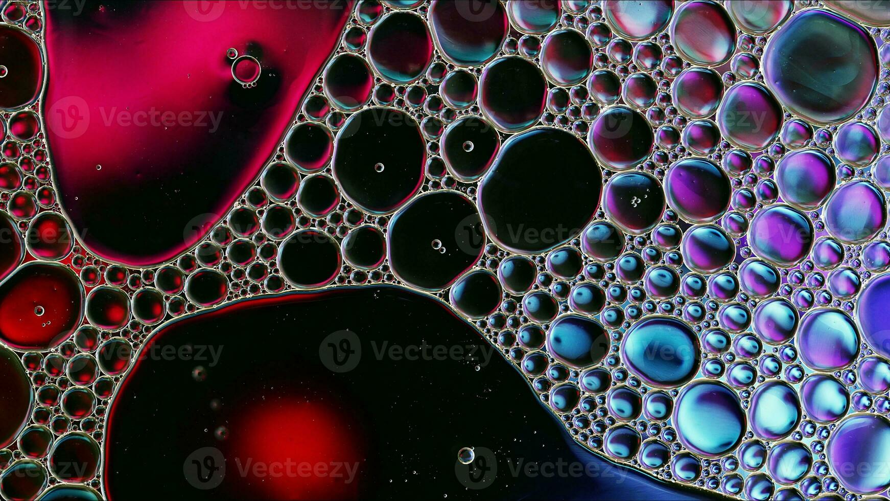 Abstract Colorful Food Oil Drops Bubbles and spheres Flowing on Water Surface photo