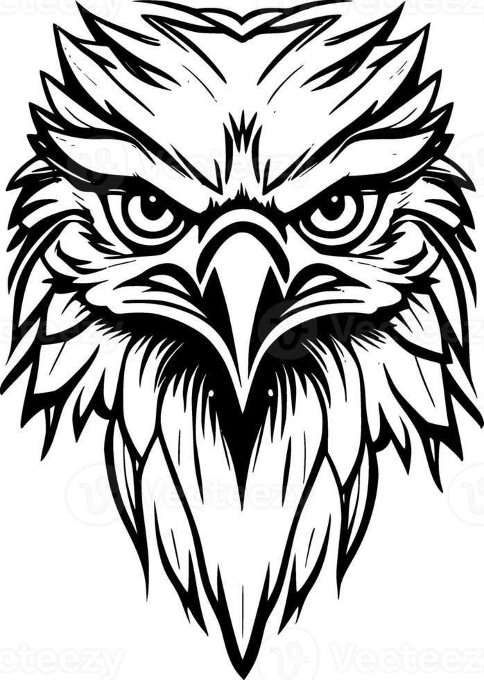 black and white illustration of a eagle with wings photo