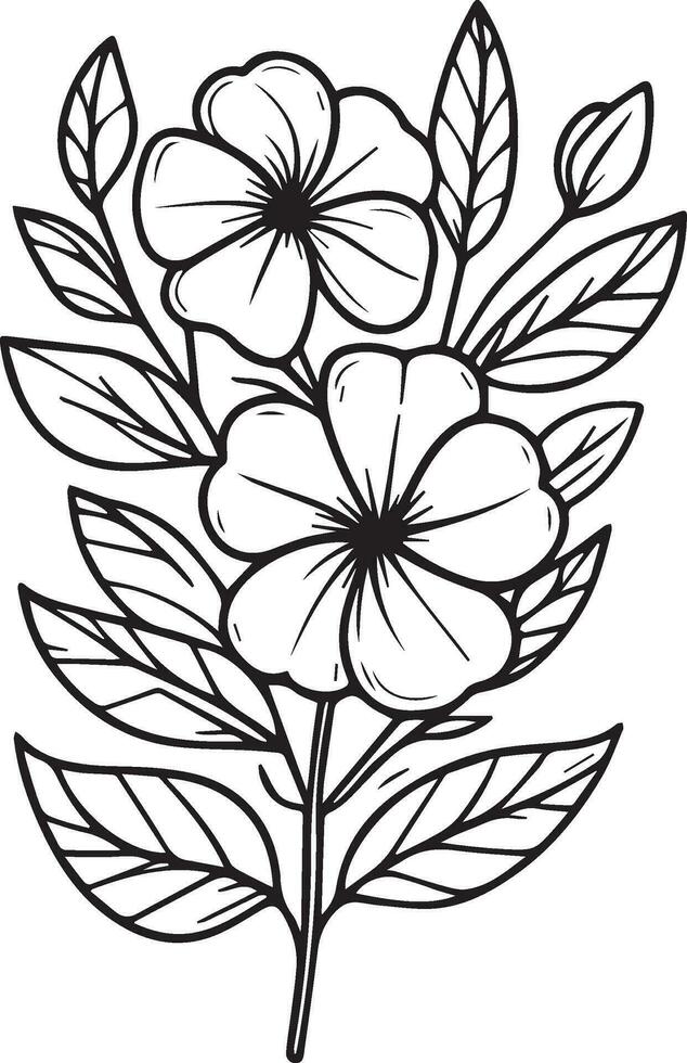 Hand-drawn botanical spring elements bouquet of Periwinkle line art coloring page, easy flower drawing. vinca flower art, outline Periwinkle flower drawing, pencil sketch Sada bahar flower drawing vector