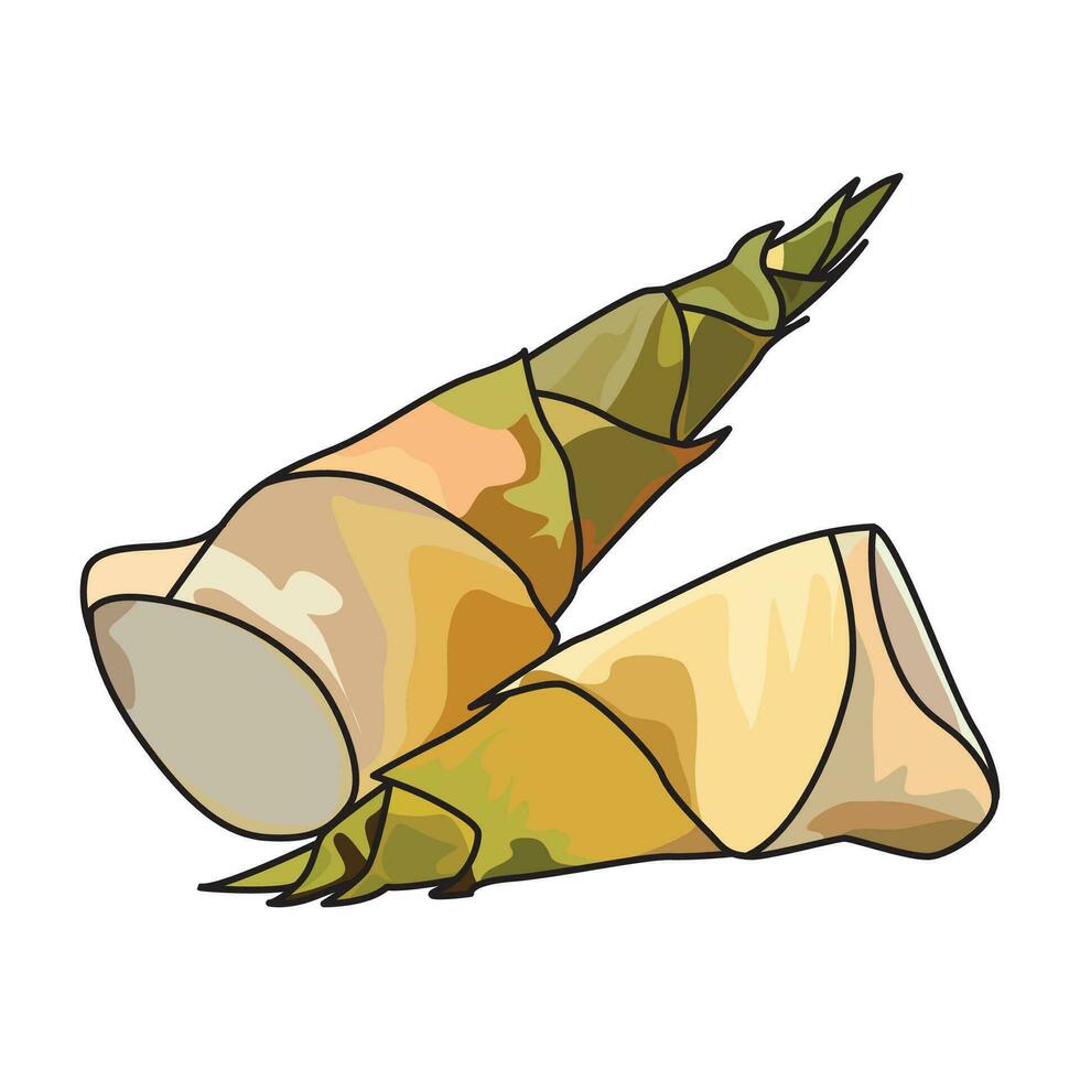 bamboo shoots vector