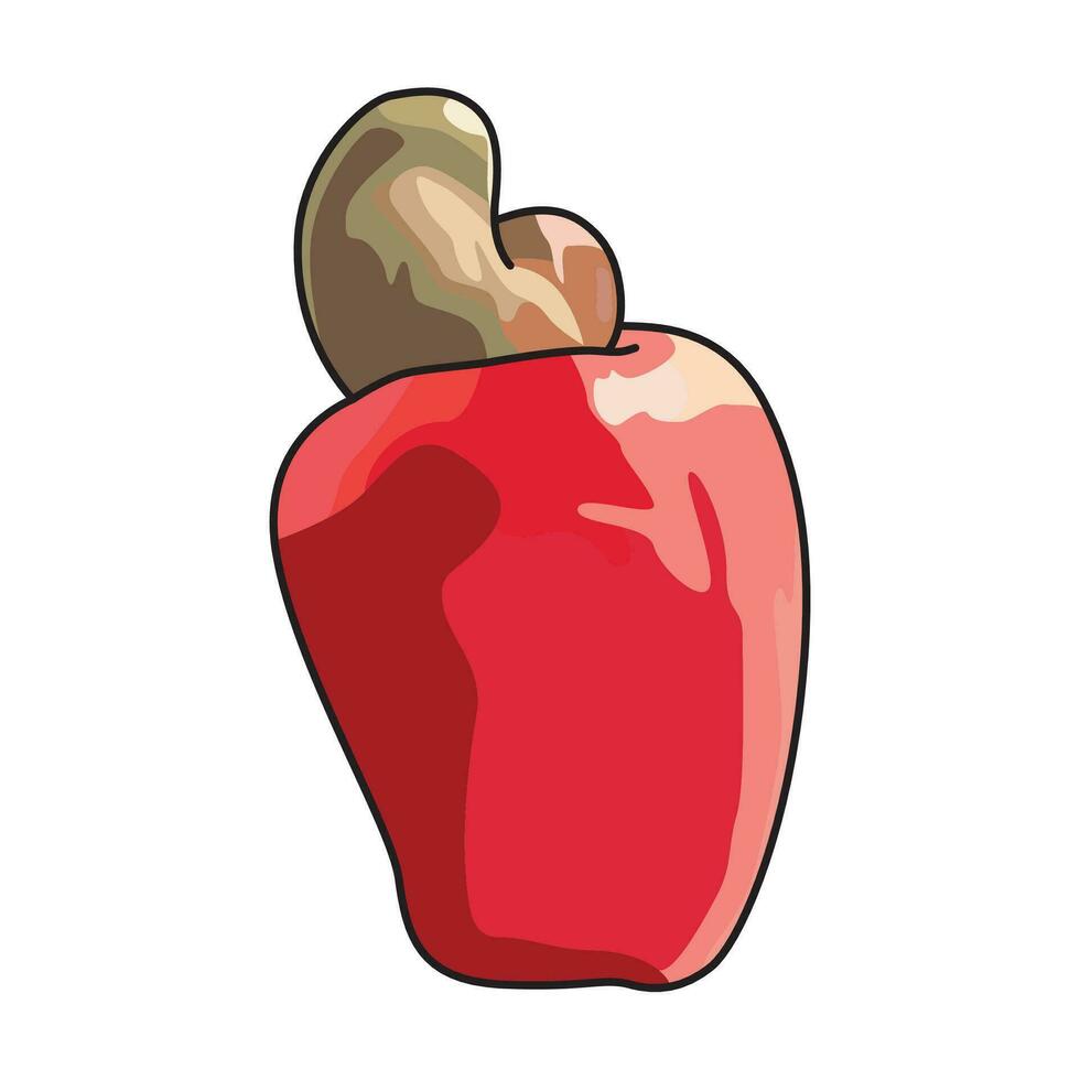 cashew fruit or jambu monyet in Indonesian vector illustration, suitable for sticker and graphic design elements