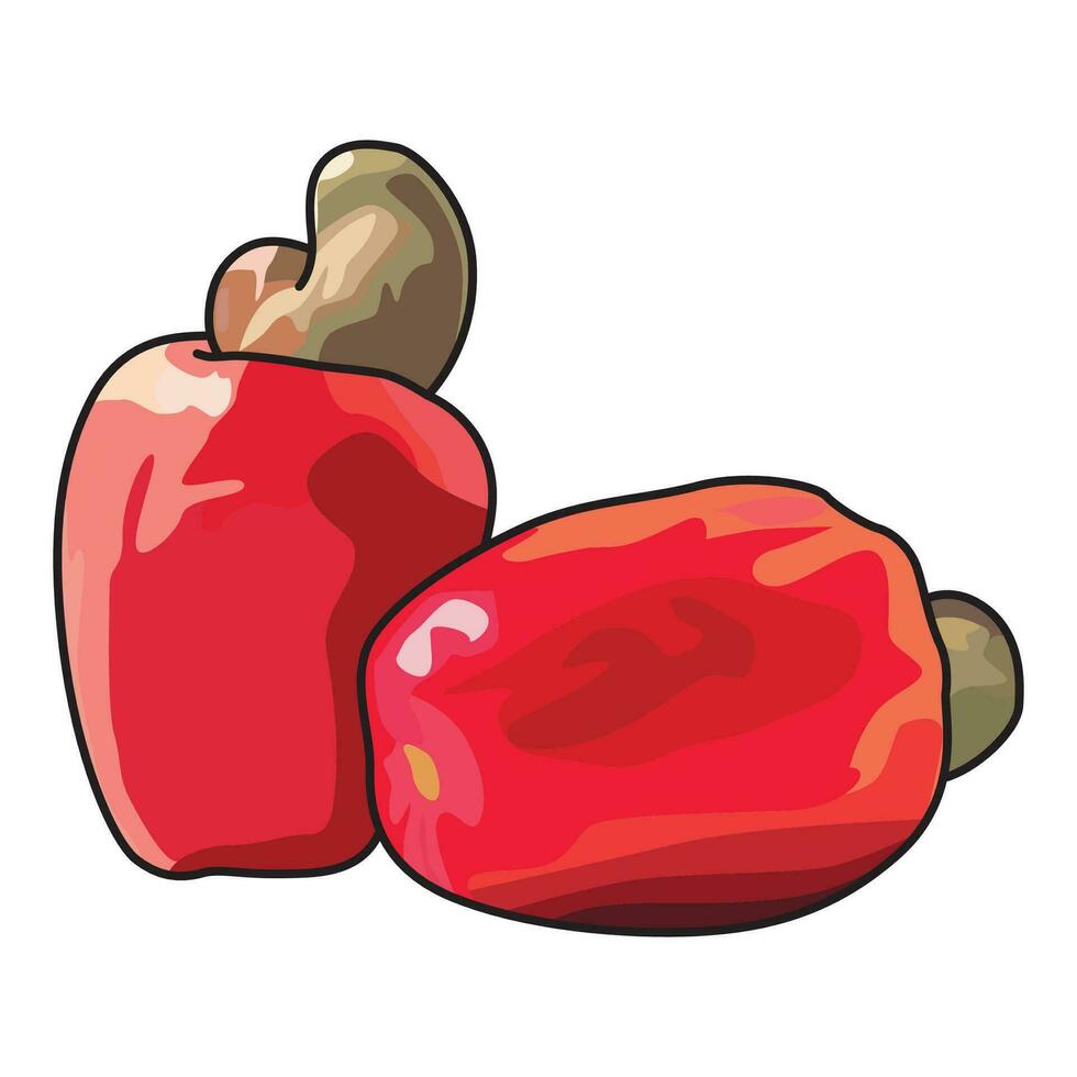 cashew fruit or jambu monyet in Indonesian vector illustration, suitable for sticker and graphic design elements