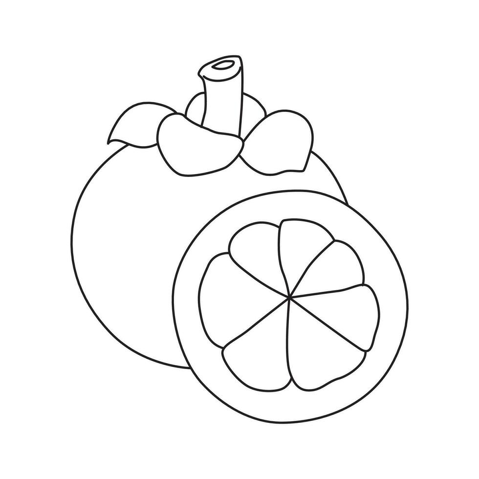 mangosteen outline vector illustration, suitable for icon and graphic design elements