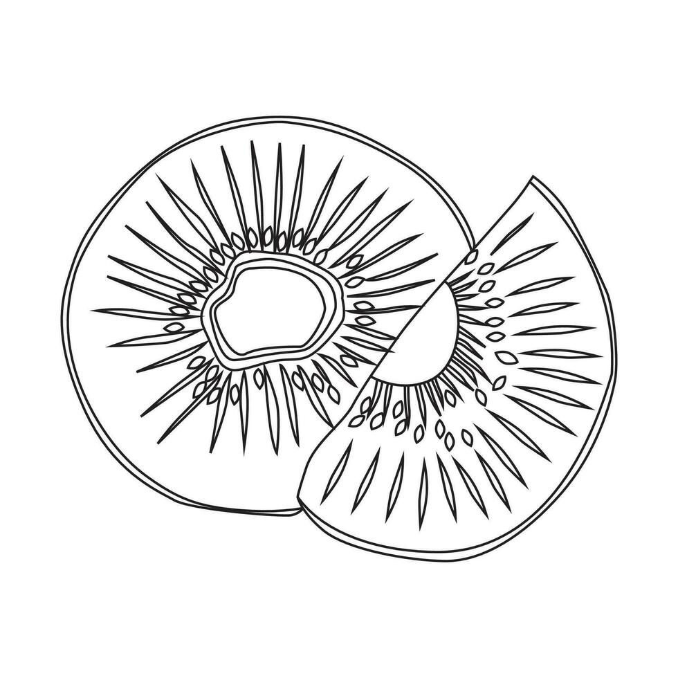 Kiwi fruit outline vector illustration, suitable for coloring book, icon, logo, and graphic design elements