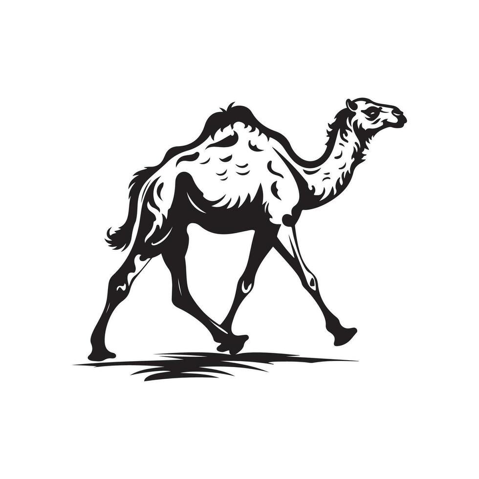 Camel Image Vector